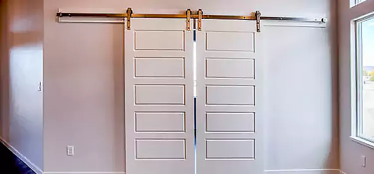 Glass Barn Door with Installation Hardware Kit Fargo