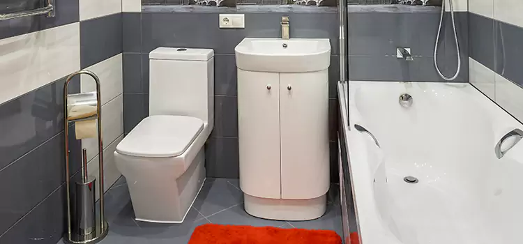 Hansgrohe Shaving Mirror Fargo